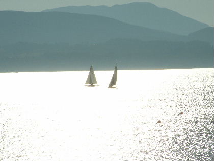 Sailing in the sunset